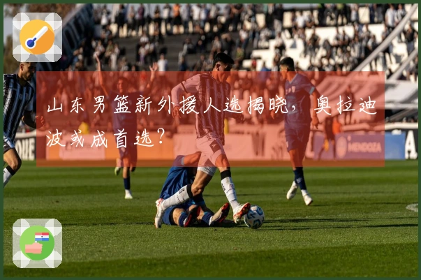 山东男篮新外援人选揭晓，奥拉迪波或成首选？