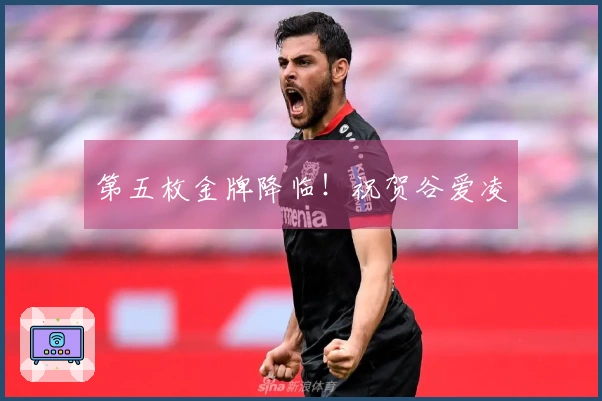 第五枚金牌降临！祝贺谷爱凌