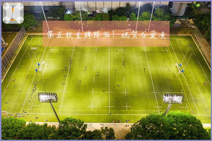 第五枚金牌降临！祝贺谷爱凌