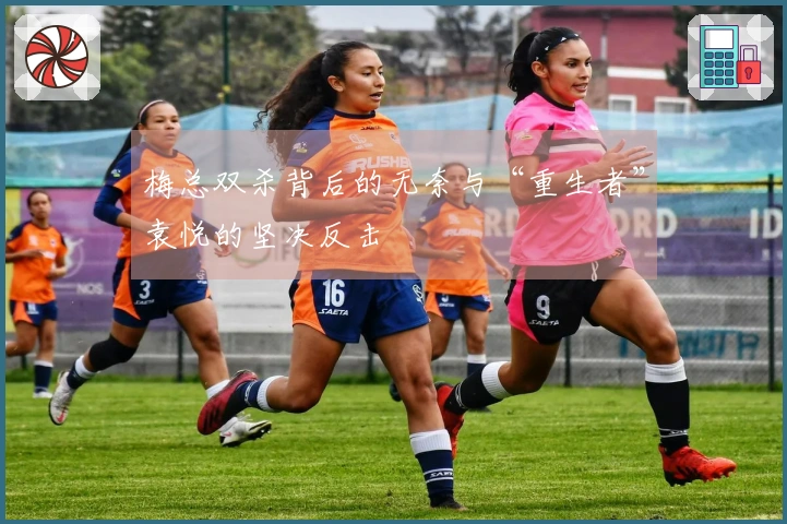 梅总双杀背后的无奈与“重生者”袁悦的坚决反击